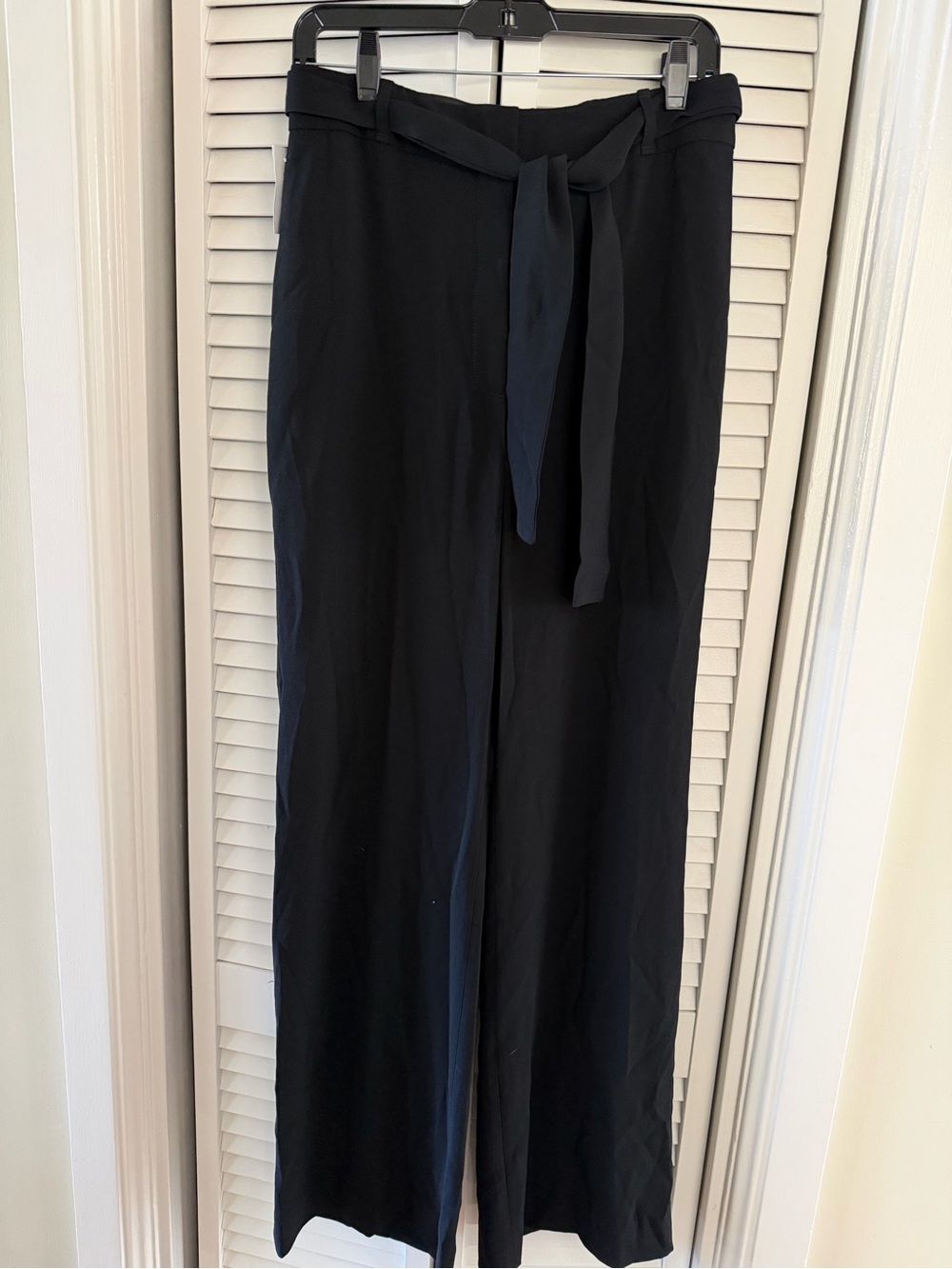 Aritzia Black High-Waist Wide-Leg Pants with Tie Belt